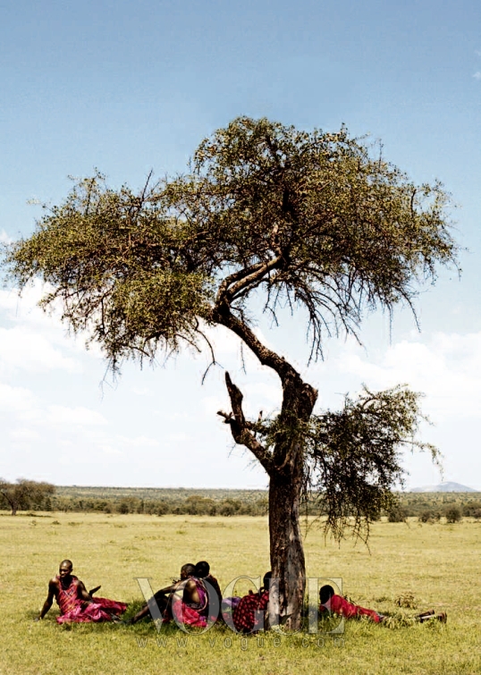 TREE OF LIFE 키이라의 사파리 여행에 동행한 마사이족들이 아카시아 나무 그늘 아래서 쉬고 있다.