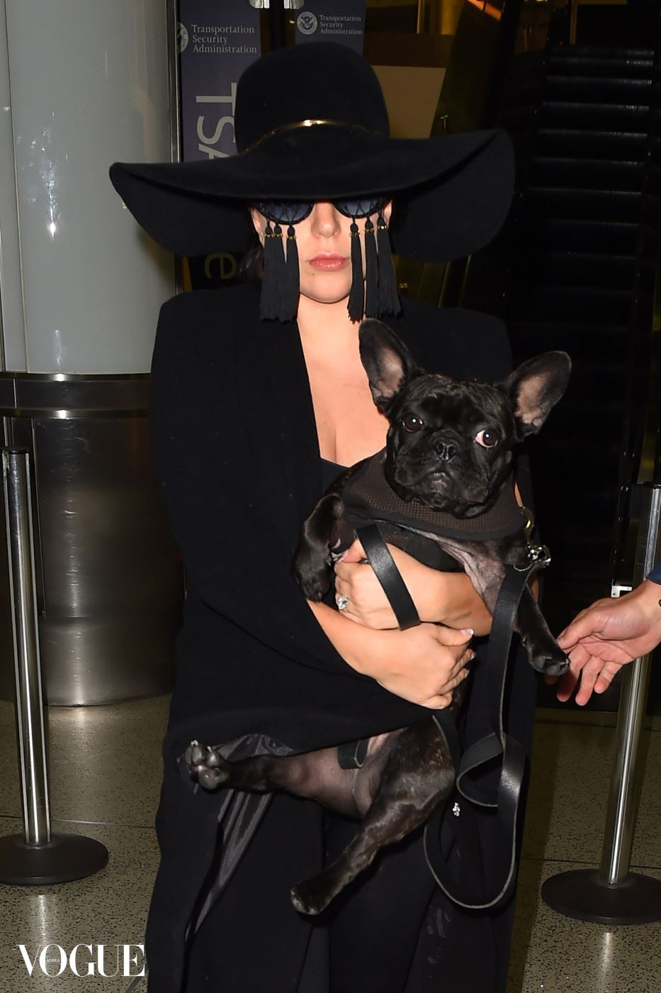 UK CLIENTS MUST CREDIT: AKM-GSI ONLY **NO UK** Lady Gaga shows off her huge engagement ring as she carries her adorable French bulldog thru LAX Airport.  The fashion forward pop star turned heads as she arrived in an all black ensemble, complete with a floppy black hat and tassled glasses! Pictured: Lady Gaga Ref: SPL1001884  160415   Picture by: AKM-GSI / Splash News 