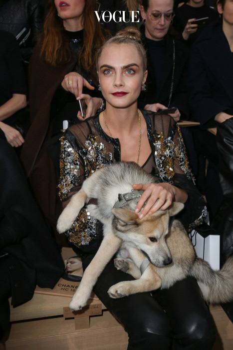 Cara Delevingne and her pet pooch Leo attend the Chanel Haute Couture Spring Summer 2016  show as part of Paris Fashion Week. Pictured: Cara Delevingne Ref: SPL1214699  260116   Picture by: Splash News Splash News and Pictures Los Angeles:310-821-2666 New York:212-619-2666 London:870-934-2666 photodesk@splashnews.com 