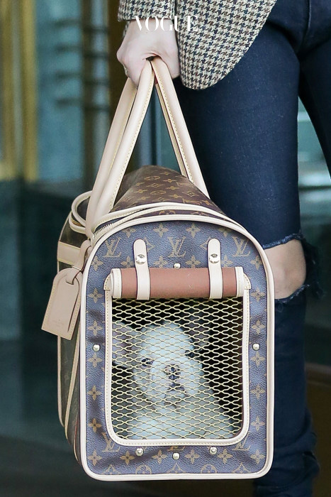Lady Gaga steps out carrying her new puppy in Louis Vuitton a Dog Carrier  in New York City, she was leaving her apartment building Pictured: Lady Gaga Ref: SPL1398604  231116   Picture by: Felipe Ramales / Splash News Splash News and Pictures Los Angeles:310-821-2666 New York:212-619-2666 London:870-934-2666 photodesk@splashnews.com 