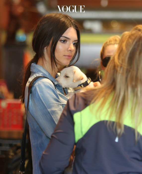 Kendall Jenner and Khloe Kardashian take home a new puppy from 'Bark N Bitches'  pet store in Los Angeles Pictured: Kendall Jenner Ref: SPL1054315  140615   Picture by: Bauer-Griffin/Bauergriffin.com 