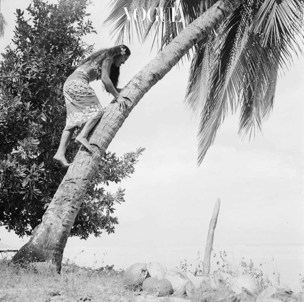 Climbing For Coconuts