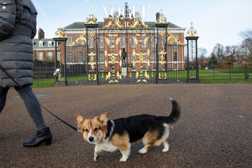LONDON, ENGLAND - NOVEMBER 27: A woman walks her dog past Kensington Palace in Kensington Gardens on November 27, 2017 in London, England. Prince Harry and Meghan Markle's engagement was announced today after they became an official couple in November 2016 and are set to marry in Spring 2018. (Photo by Jack Taylor/Getty Images)