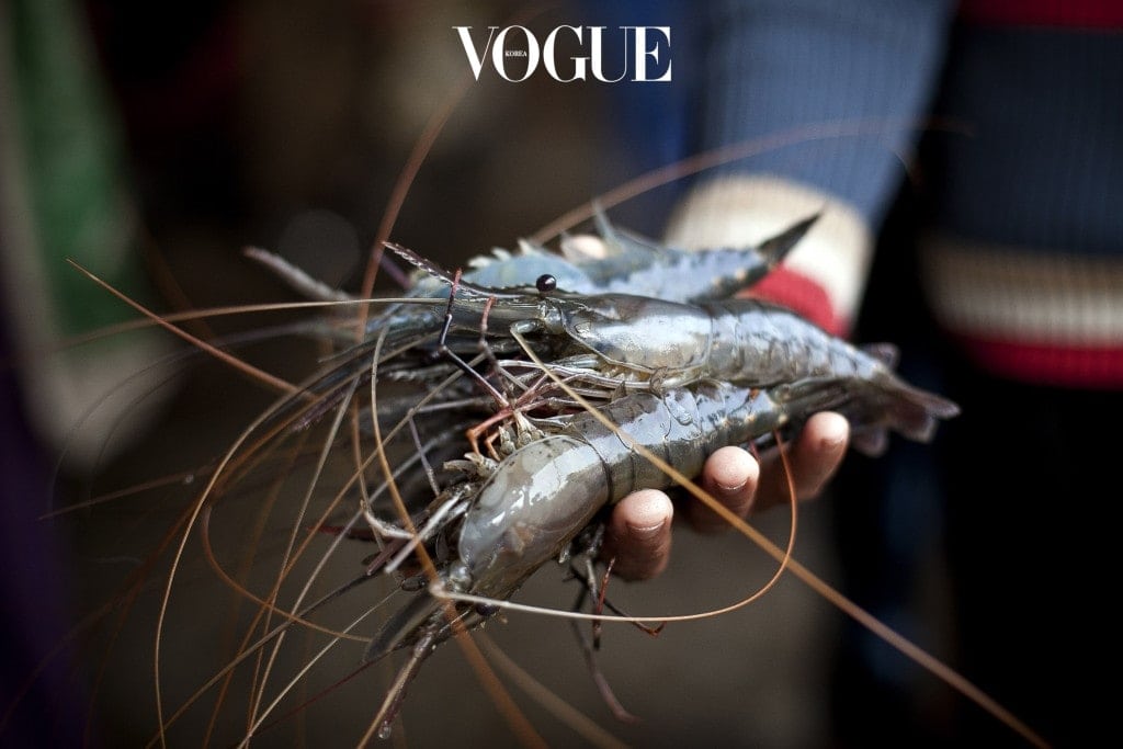 Bangladesh's Shrimp Industry Accused Of Worker Exploitation