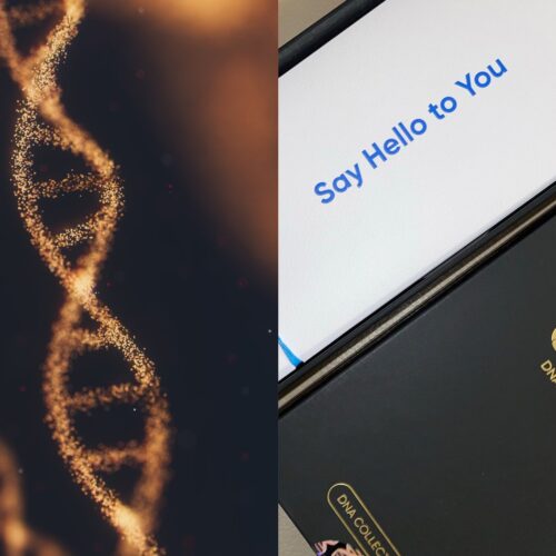 타액 한 방울로 건강 정보를 알려주는 진단 키트 체험기