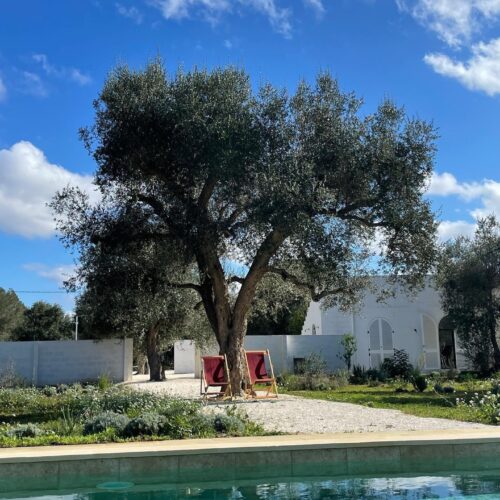 ‘오에프알 서울’ 대표 박지수의 보르고 갈라나 #StayInDream
