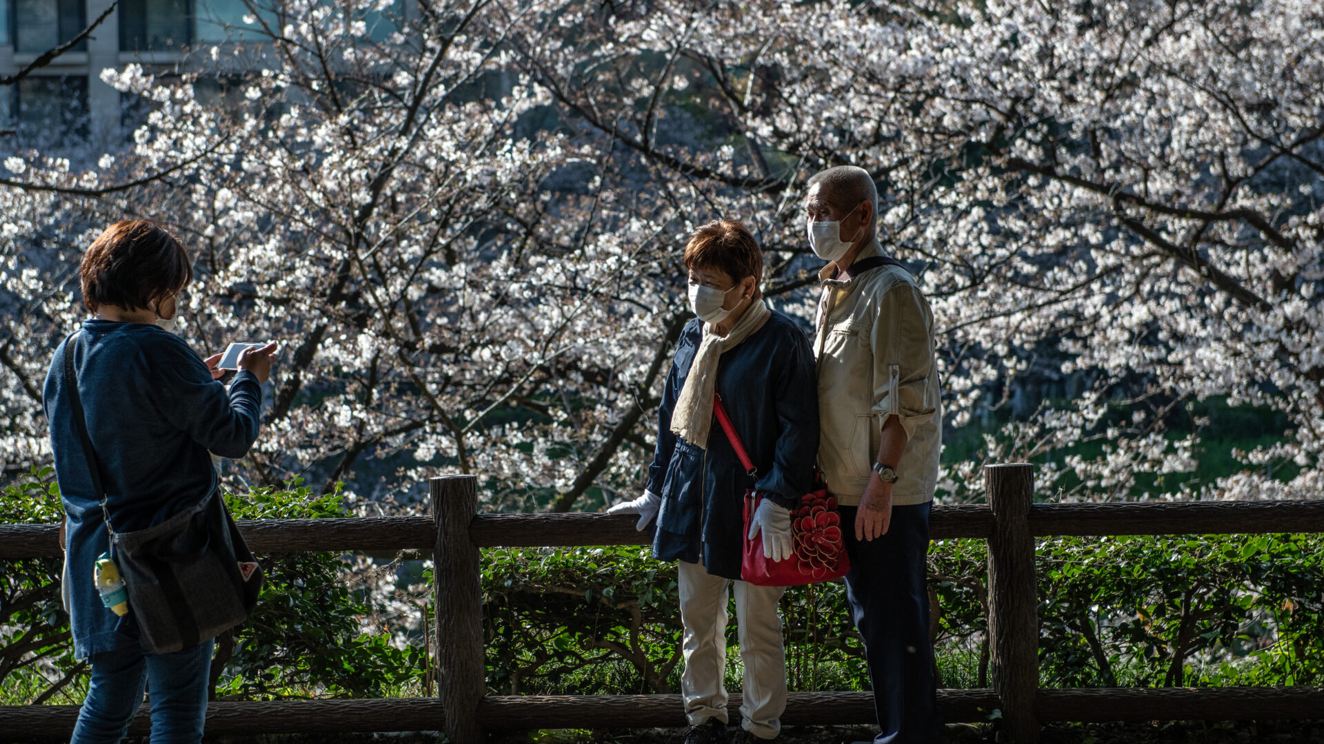 오래도록 건강하고 충만한 삶을 사는 일본인의 비결? 이키가이!