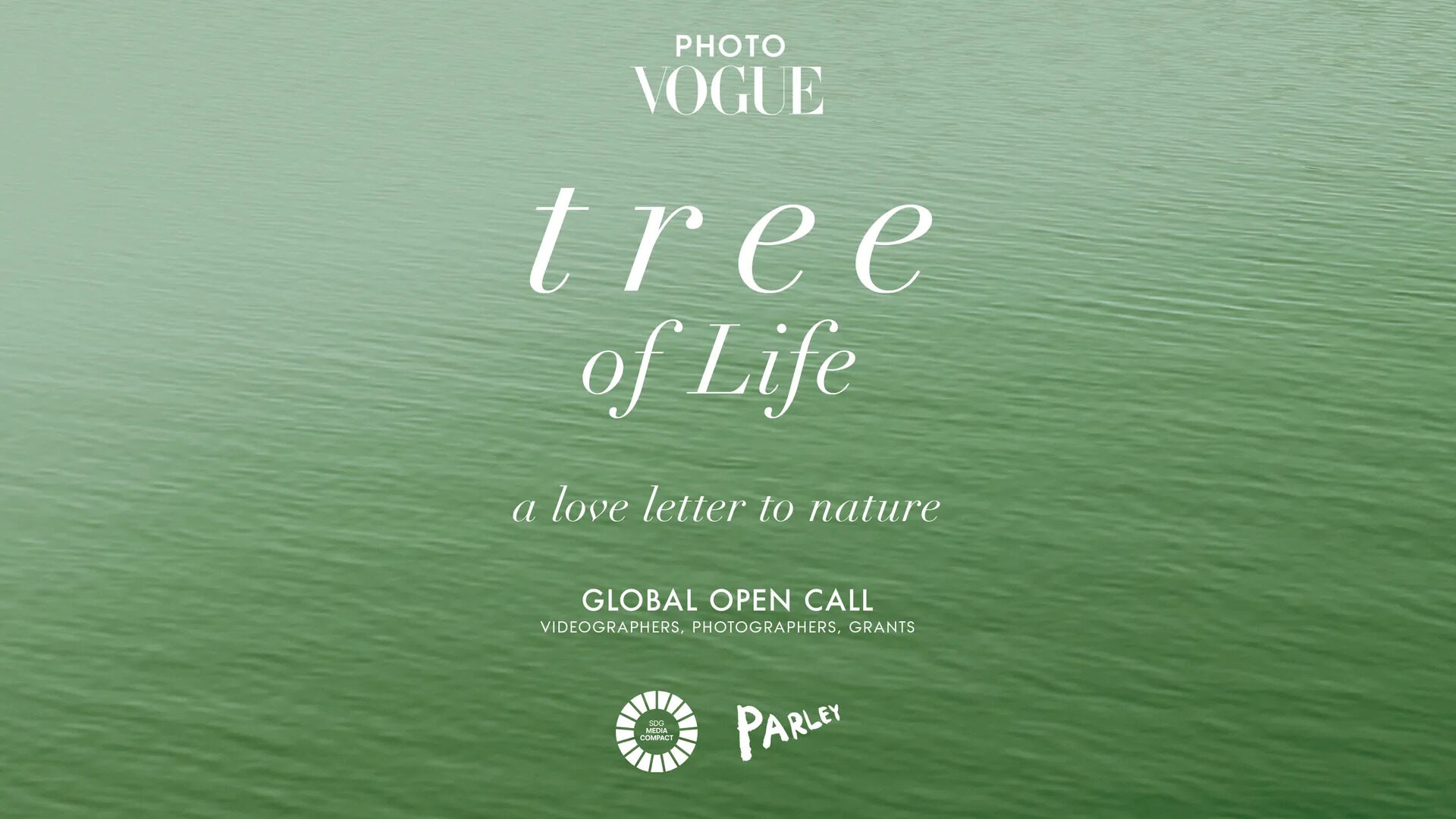 ‘포토보그’의 글로벌 오픈 콜, 생명의 나무: 자연에 보내는 러브 레터