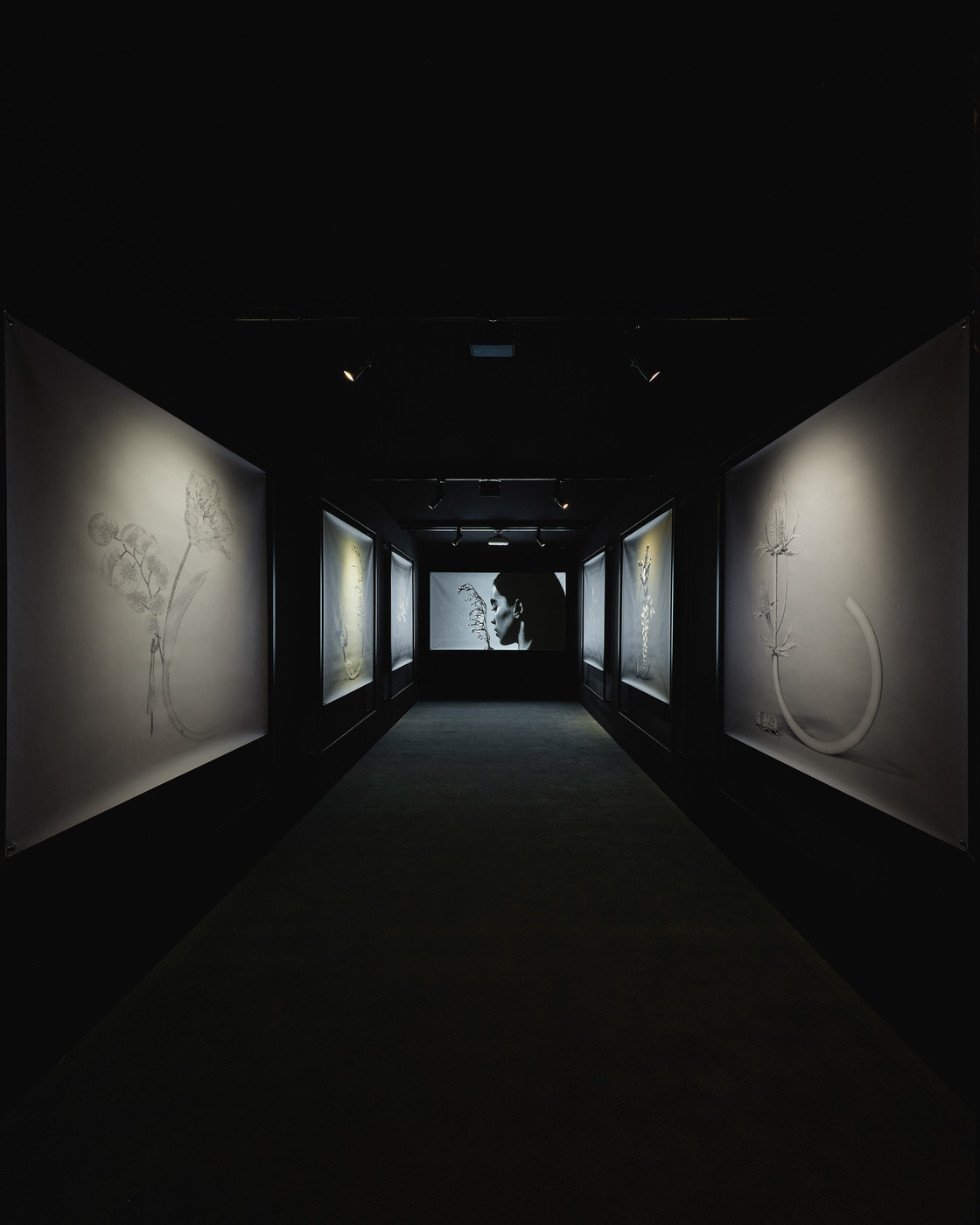 찰나 속에서 붙잡은 영원, 임퍼머넌스 컬렉션