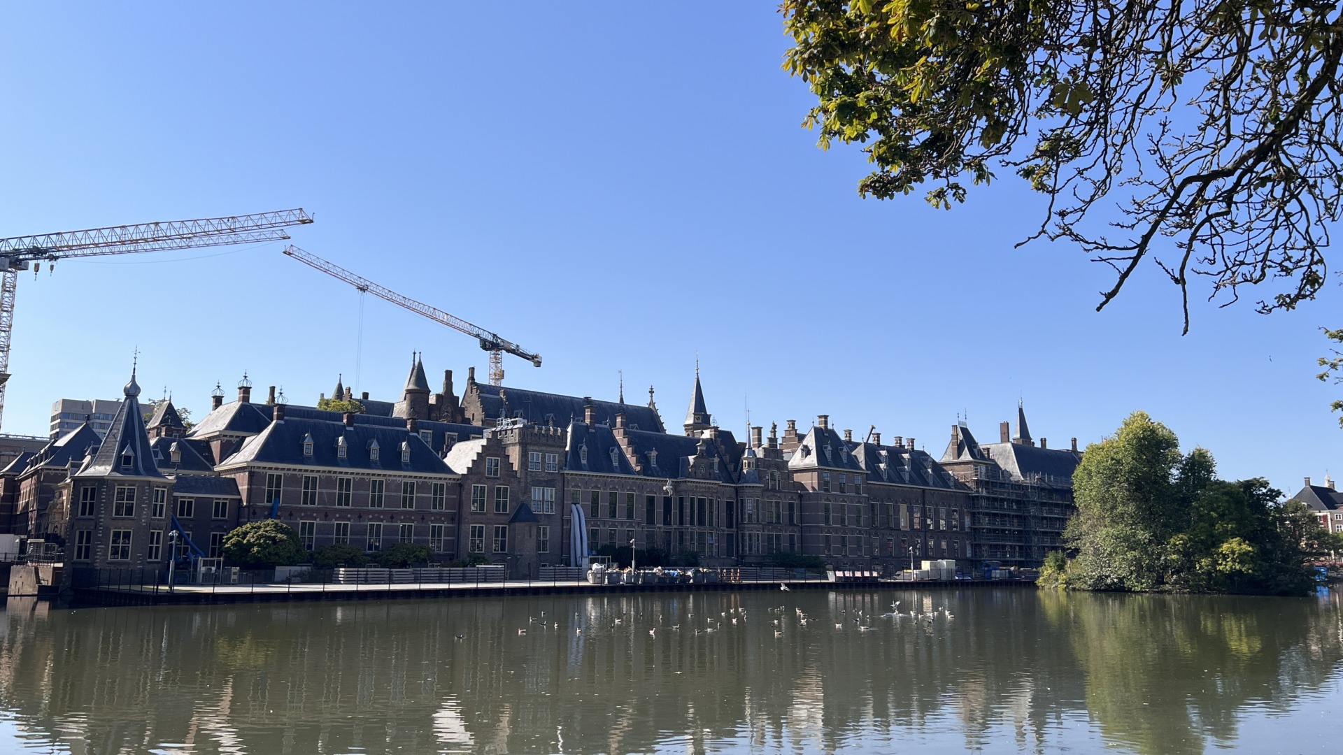 Small‑town lover falls in love with The Hague
